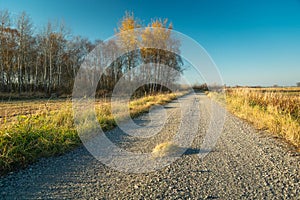 Gravel road by the autumn forest and blue sky