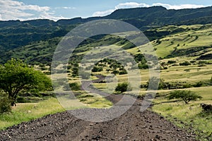 Gravel road through bushveld savanna in Tanzania near Lake Natron