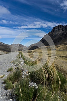 Gravel road cutting through empty high alpine grasslands