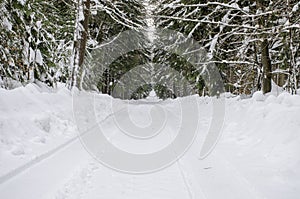 A gravel road in deep forrest under snow in winter.