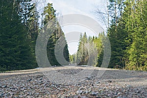 Gravel road in dense forest