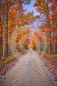 Gravel Road with Fall Leaves