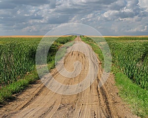 Gravel road through flat prairie.