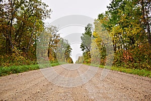 A gravel road through a forest