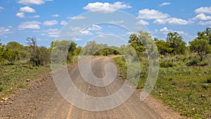 Gravel road through Kruger park