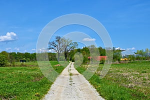 Gravel road leading through fields to Krakov forest