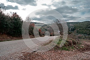 Gravel road and magnificent green grass near the road with cloudy and open sky background.