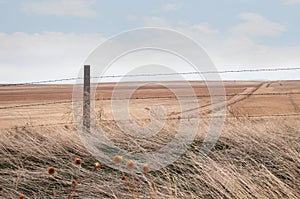 A gravel road on the open grasslands of the plains