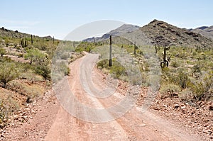 Gravel road, Organ Pipe Cactus National Park, Arizona