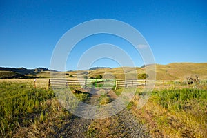 Gravel Road in Ranch Land