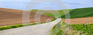 Gravel road through rolling wheat fields