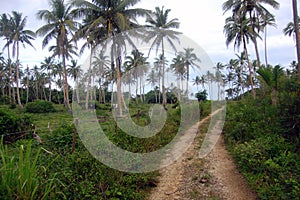 Gravel road at rural area