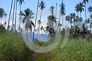 Gravel road at tropics