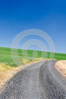 Gravel road turning with wheat fields