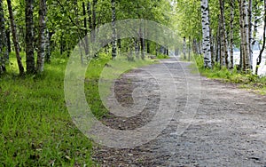 Gravel Road in UmeÐ°, Sweden