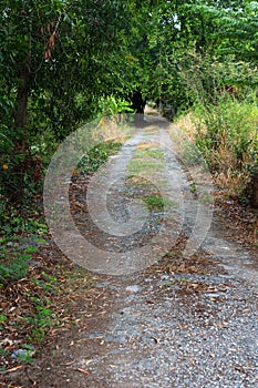 Gravel Road way at Rural in Tropical Park.