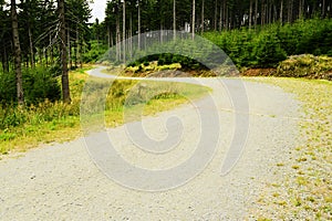 Gravel road winding in spruce forest in the Owl Mountains Landscape Park Sudetes, Poland