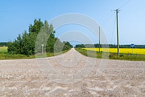 Gravel roads intersect near a field of Canola in rural Alberta, Canada photo