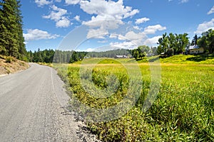 A gravel rural road with homes and ranches above a meadow in the rural Spokane area of Washington, USA photo