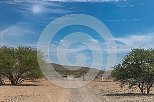Gravel secondary road in northern Namibia