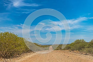 Gravel secondary road in northern Namibia