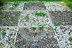 Gravel texture path in garden.