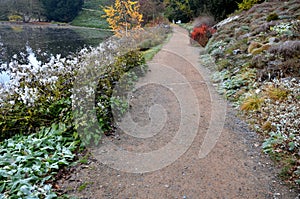 Gravel threshing path through the park on a November autumn day. under the rock formation of the slope above the lake grows a red-