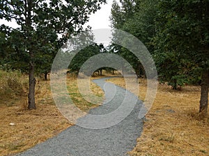 Gravel trail or path with brown grasses and trees