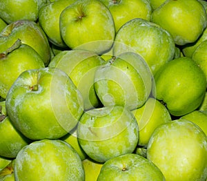 Gravenstein apples on display