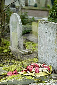 Graves on cementery