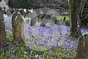 Graves and crosses and stones at old gothic cemetery in England