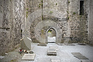 Graves in Irish abbey ruins photo