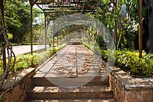 Graves of Kigali Genocide Memorial Centre