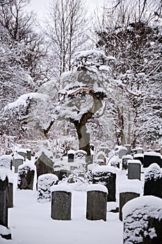 the graves in an old cemetery covered with snow in winter