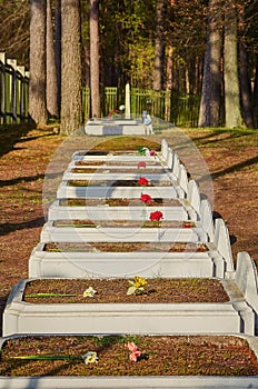 Graves of Soviet Soldiers