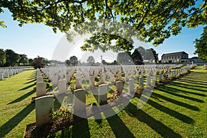 Graves and tree in back-light, in an English military cemetery in Normandy, at Ranville