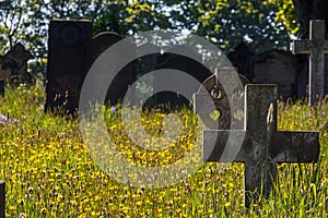 Graves & Wildflowers