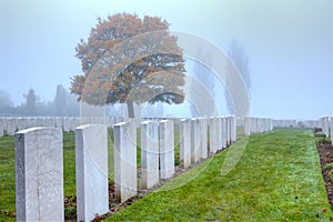 Graves of WWI soldiers at Tyne Cot, Flanders Fields photo