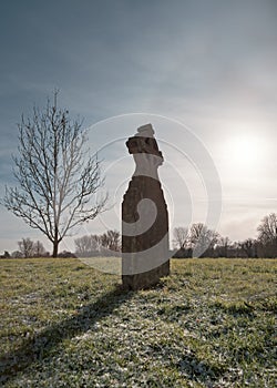 Gravestone on Frosted Grass with Tree and Sun