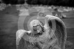 Gravestone Grave Stone in Cemetery Angel Statue
