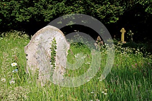 Gravestone in an overgrown graveyard