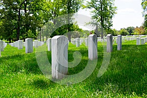 Gravestones in Arlington National Cemetery