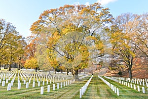 Gravestones in Arlington National Cemetery - Washington DC