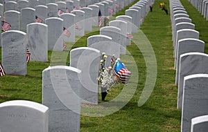 Gravestones at Cape Canaveral National Cemetery