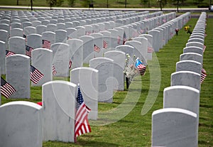 Gravestones with flags at Cape Canaveral National Cemetery