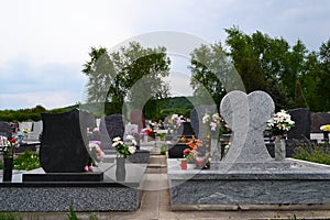 Gravestones with floral tributes