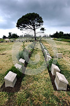 Gravestones at Lone Pine Cemetery on the Gallipoli Peninsula in Turkey.