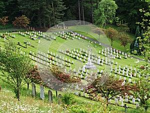Gravestones in Memorial Graveyard