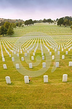 Gravestones in the military cemetary