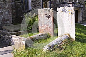 Gravestones in a sunny country cemetery